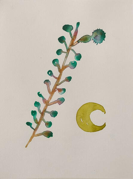 A5, watercolor. 15€